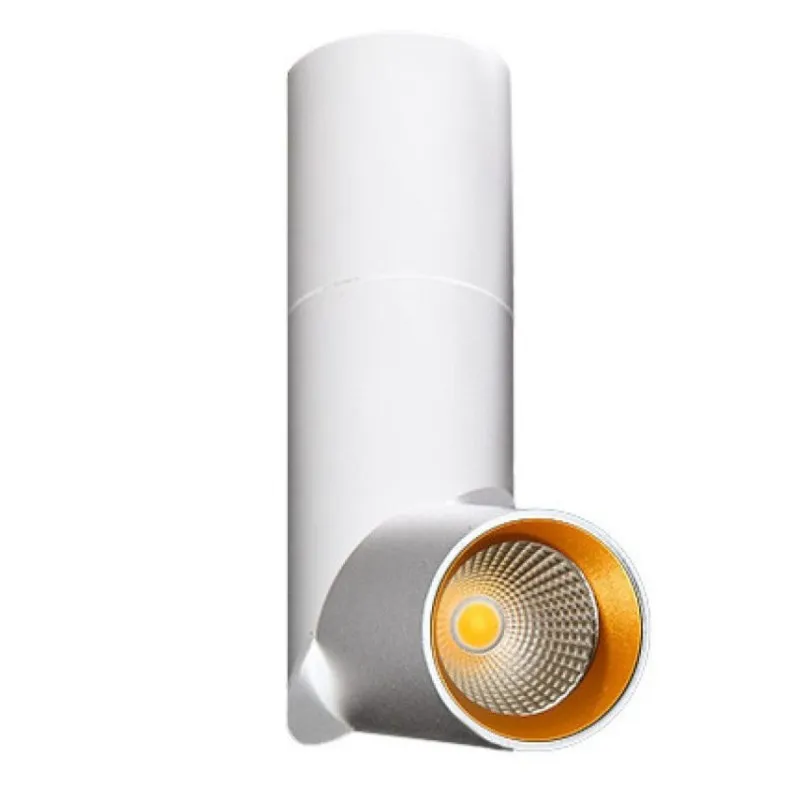 Obniżka ceny Lampa natynkowa SANTOS Biała/Złota