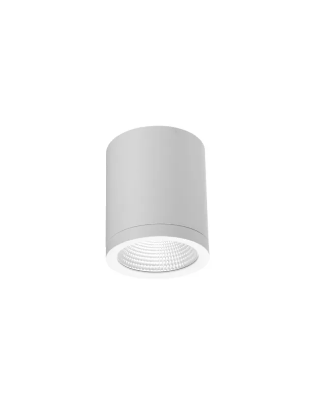 Azzardo CONYON IP54 15W CCT SWITCH WH Biały/Transparentny 1xLED Lampa Natynkowa Przełącznik Zmiany Barwy Światła AZ6028 Bezpieczna płatność