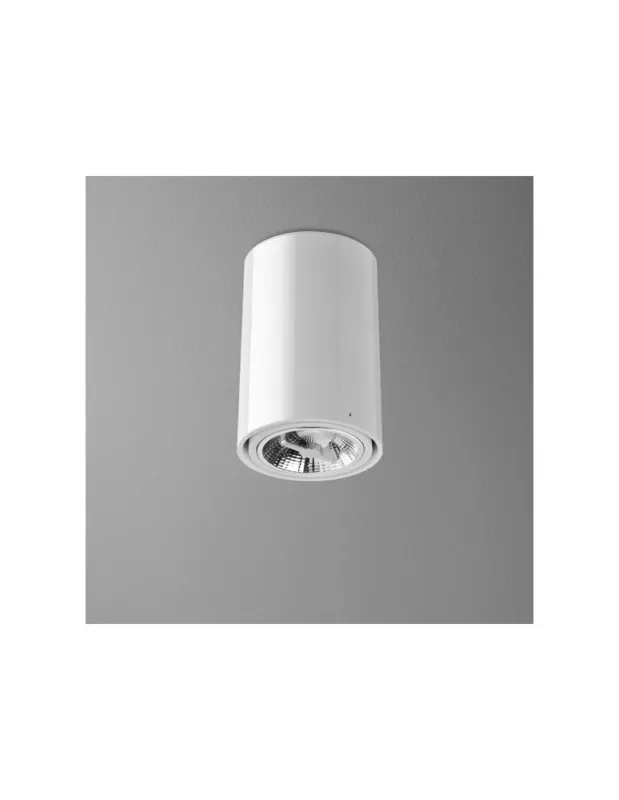 Aqform TUBA 111 230V 23cm natynkowy 46512-0000-U8-PH kolory-swiatla.pl Premium