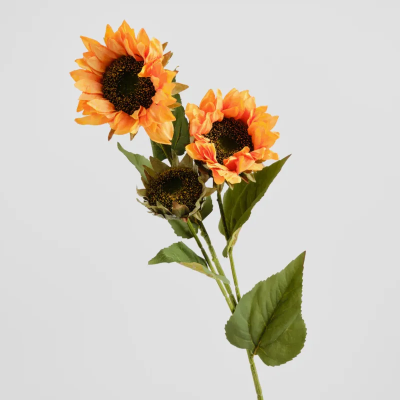 Bukiet Sunfloweris - Promocja