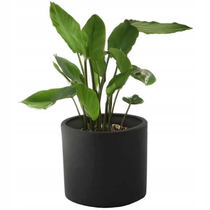 Oferta czasowa DONICZKA CZARNA 14cm mała ceramiczna mat MARIA na balkon taras do salonu -