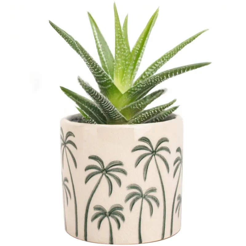 Dostępne od ręki DONICZKA PALMY CERAMICZNA 12cm mała do salonu osłonka palma na parapet -