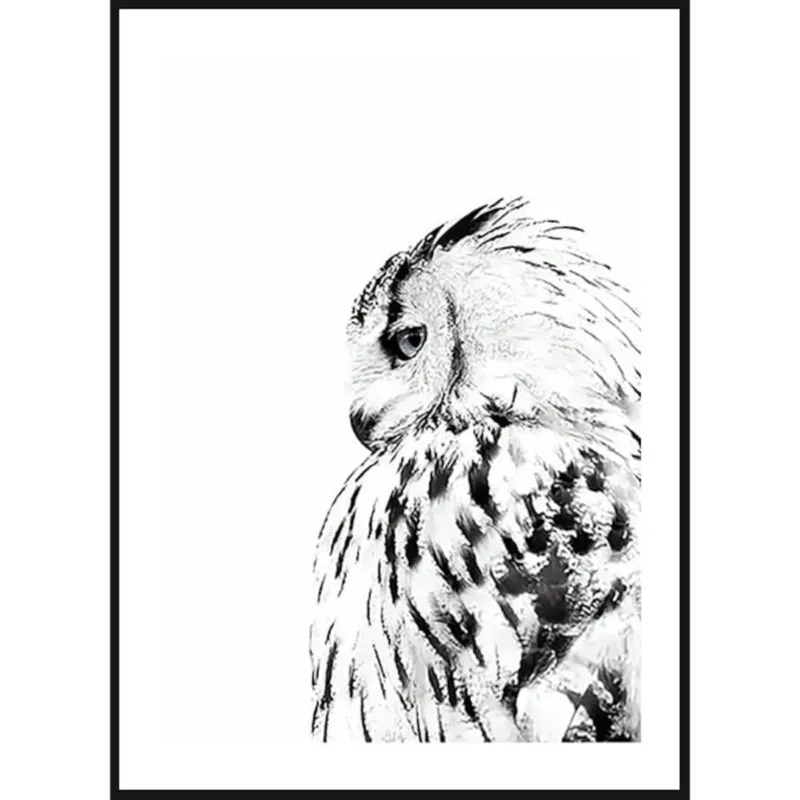 Kup online Poster Story, Plakat, Obraz - Sowa w Akwareli, wymiary 21 x 30 cm -