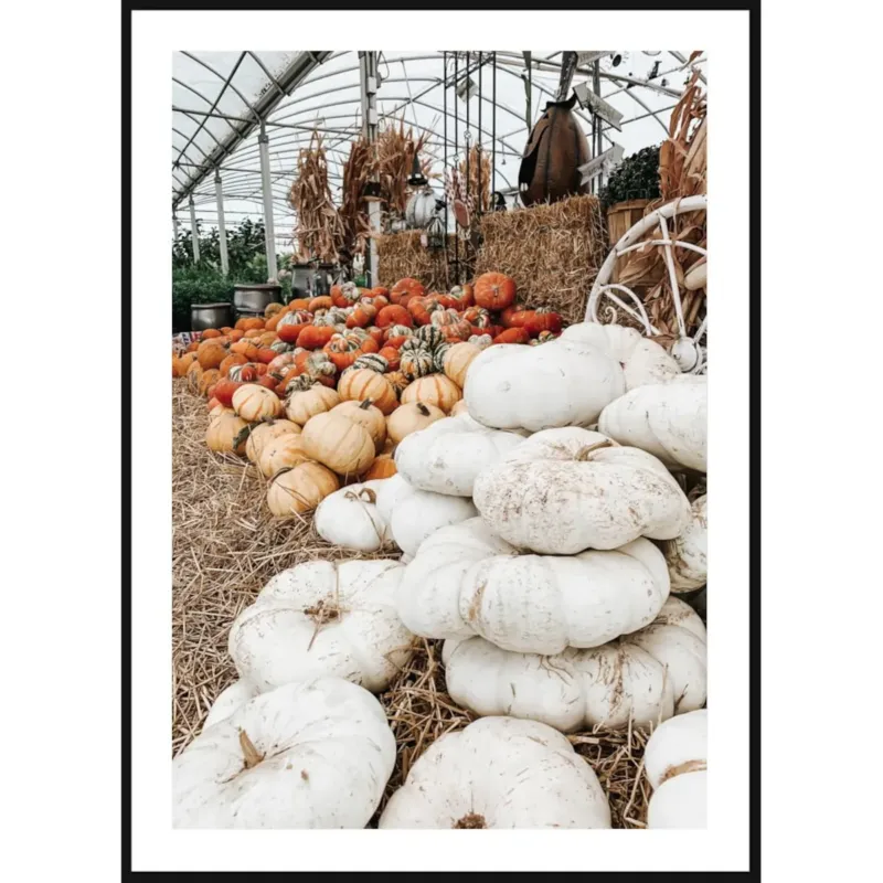 Poster Story, Plakat, Obraz - Kolorowe Dynie w Stogu Siana, wymiary 42 x 60 cm - Darmowy zwrot