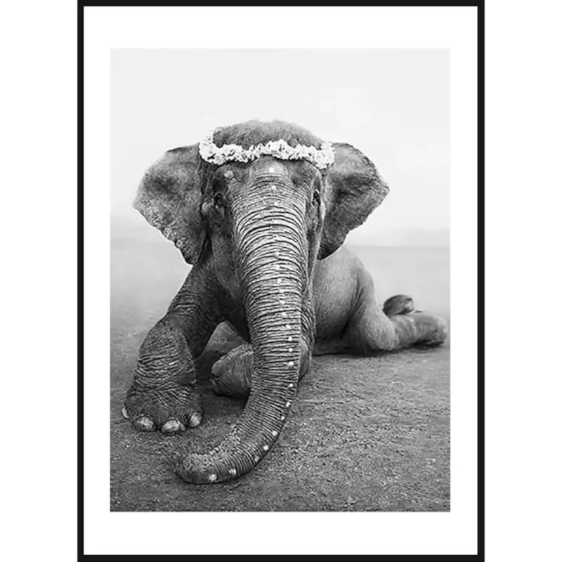 Hit cenowy Poster Story, Plakat, Obraz - Słoń Boho, wymiary 50 x 70 cm -