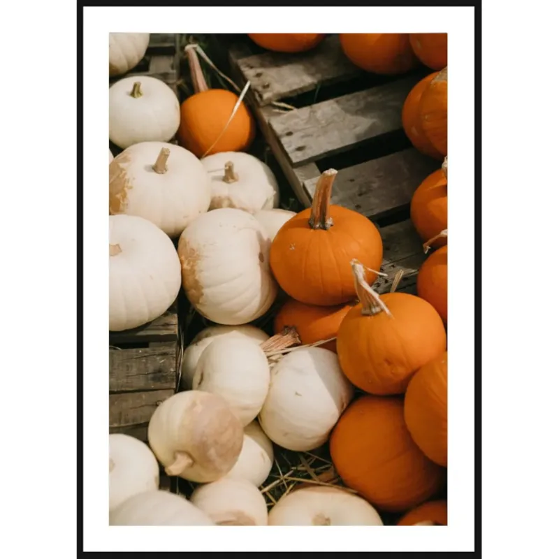 Hit cenowy Poster Story, Plakat, Obraz - Malutkie Dynie, wymiary 30 x 42 cm -