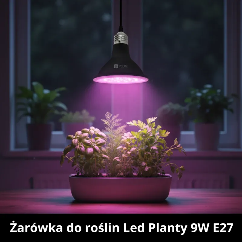 Promocja Żarówka Do Roślin Led Planty 9W E27 Czarna