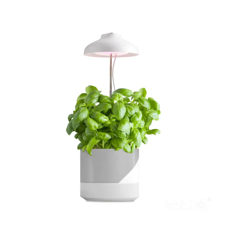 Ograniczona ilość Lampa Do Roślin Led Verdi 5W