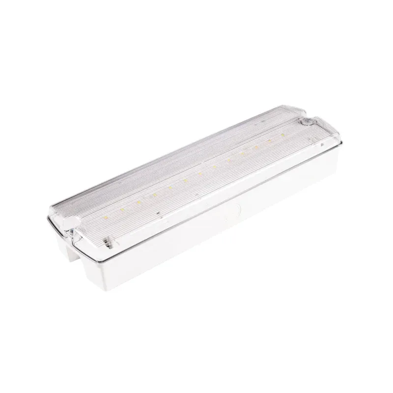 Bestseller Oprawa Ewakuacyjna/Awaryjna Orion Led Ii 100 Sa 3H Ct Lt Ip65 [Blk] + (Or7, Or8) / Wersja Lt (Układ Grzejny Z Termostatem) / 894