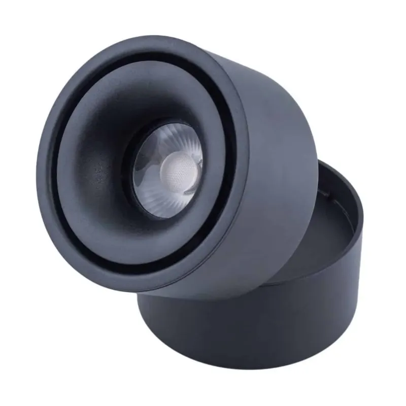 Lampa sufitowa spot ruchomy czarny LED Abigali-MZTD-B-12-20WW - Abigali Bezpieczne zakupy