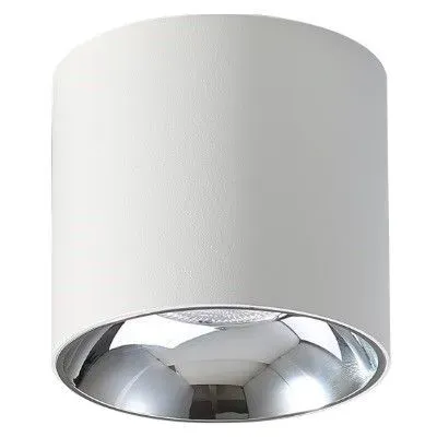Najlepsza cena Spot sufitowy LED tuba biała Walec 3000K Abigali-DL10W-WW - Abigali