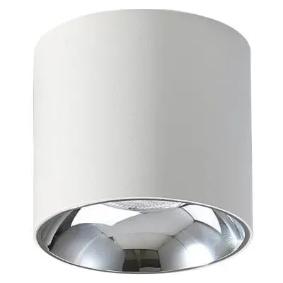 Nowy Spot sufitowy LED tuba biała Walec 4000K Abigali-DL10W-NW - Abigali